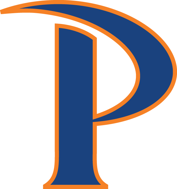 Pepperdine Waves 2011-Pres Primary Logo DIY iron on transfer (heat transfer)